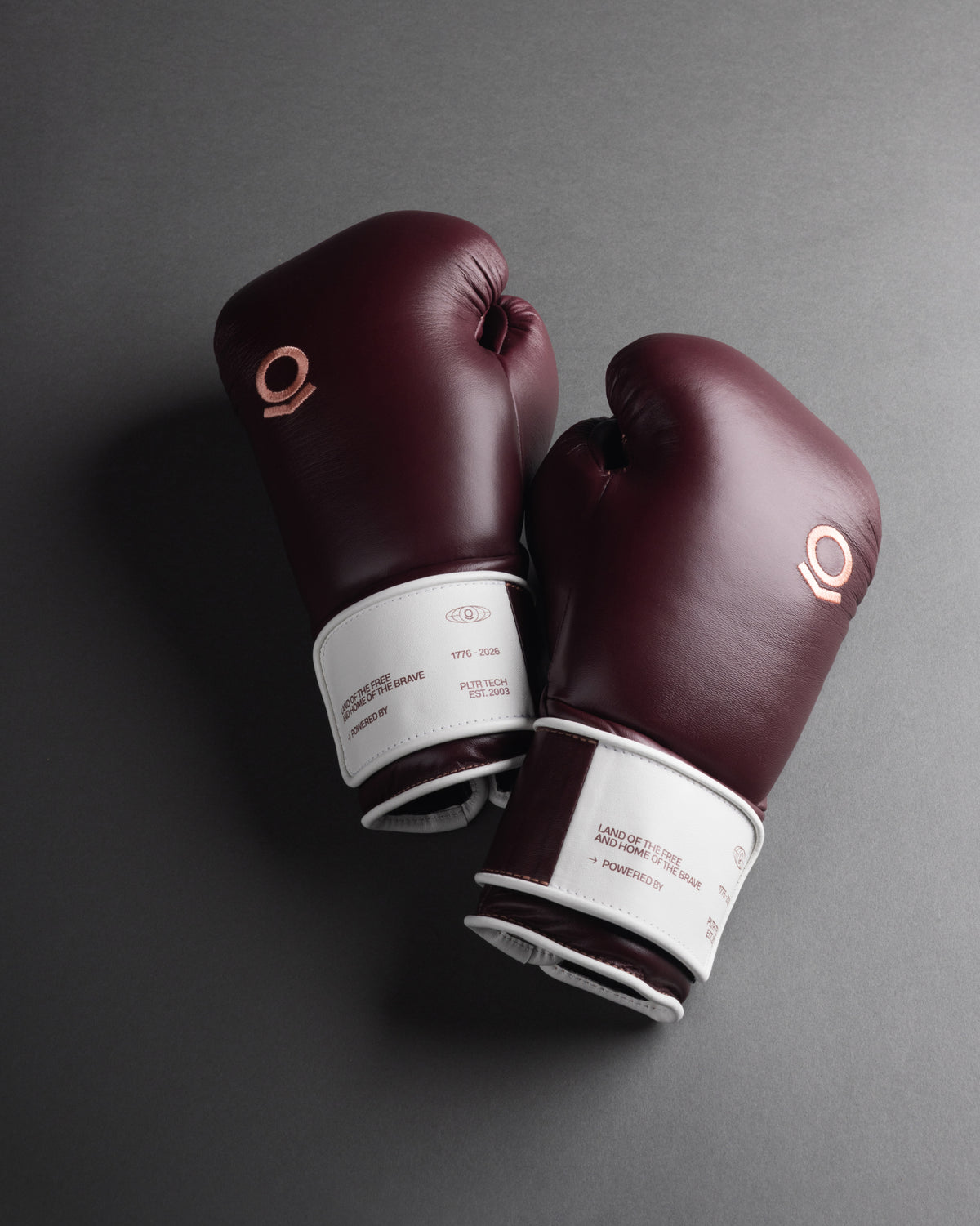 PALANTIR BARRIC USA 250 BOXING GLOVES
