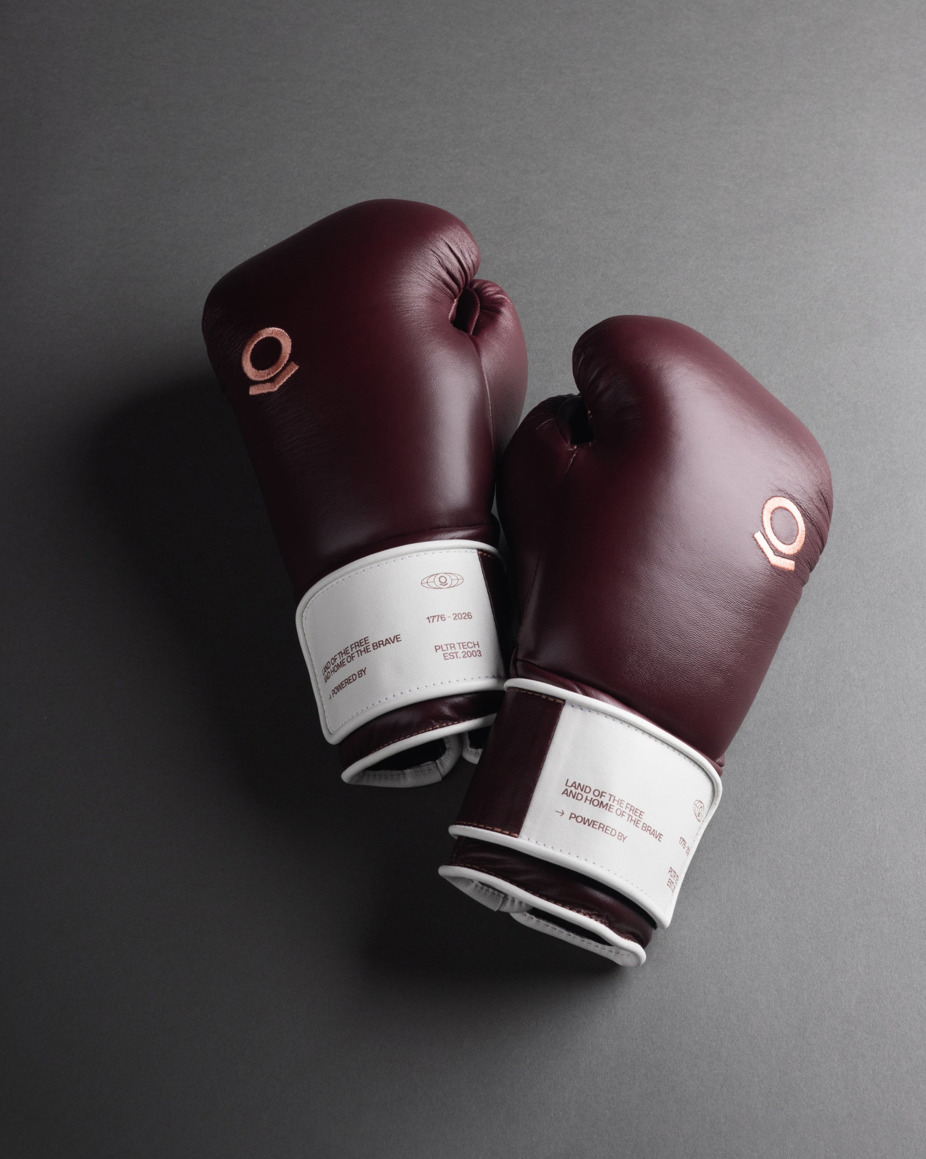 PALANTIR BARRIC USA 250 BOXING GLOVES