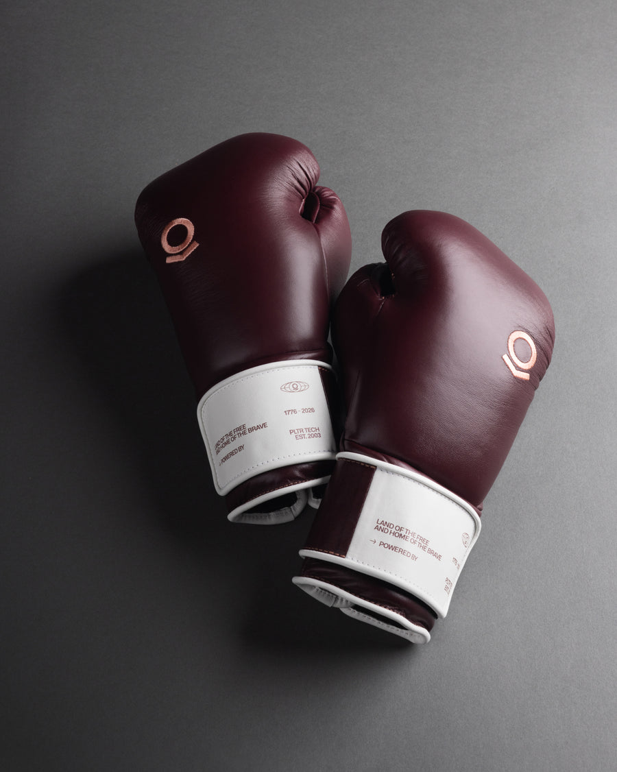 PALANTIR BARRIC USA 250 BOXING GLOVES