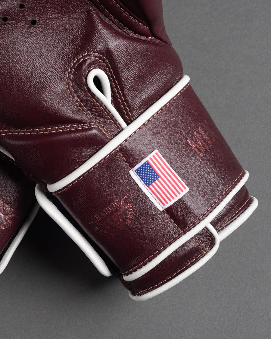 PALANTIR BARRIC USA 250 BOXING GLOVES