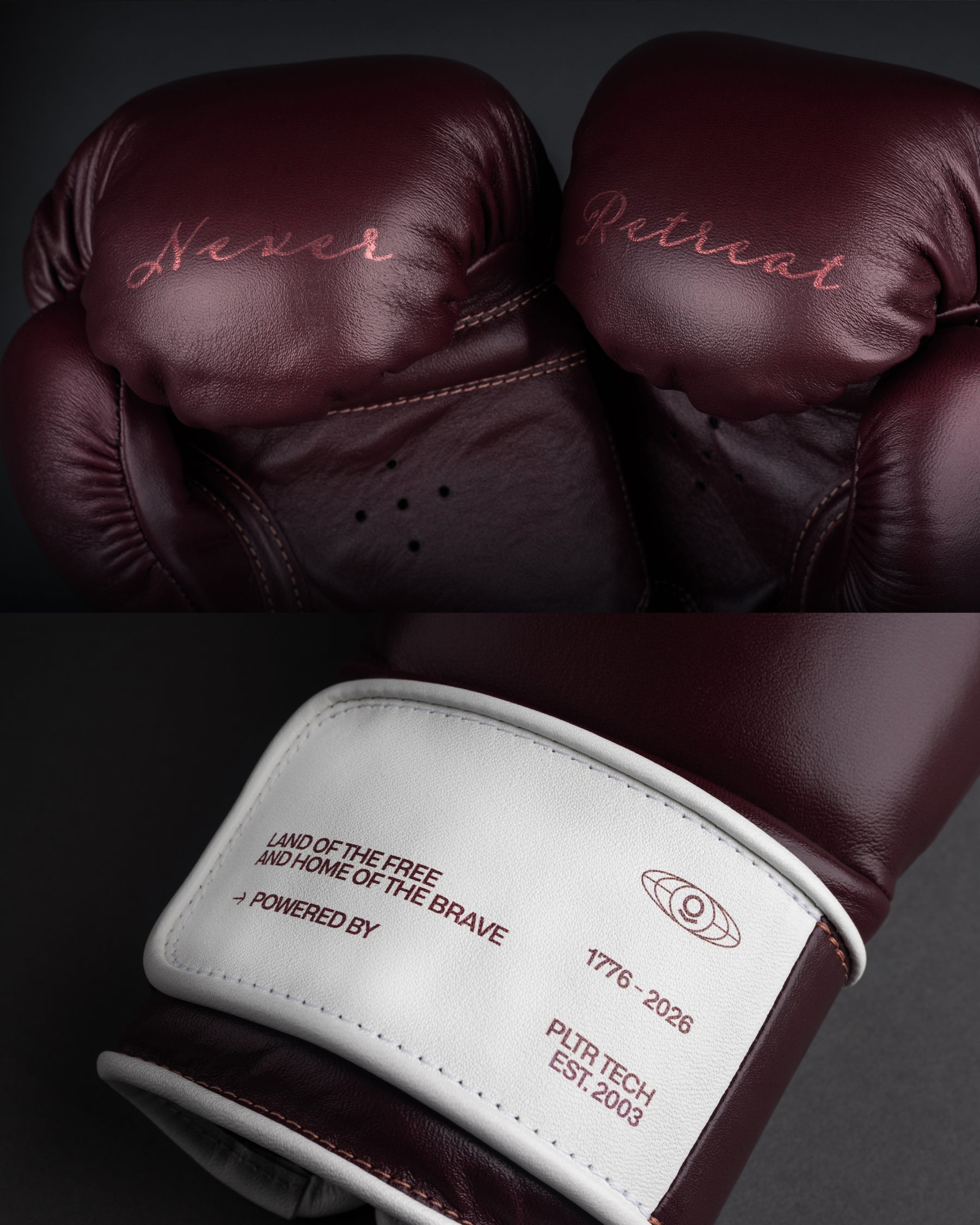 PALANTIR BARRIC USA 250 BOXING GLOVES