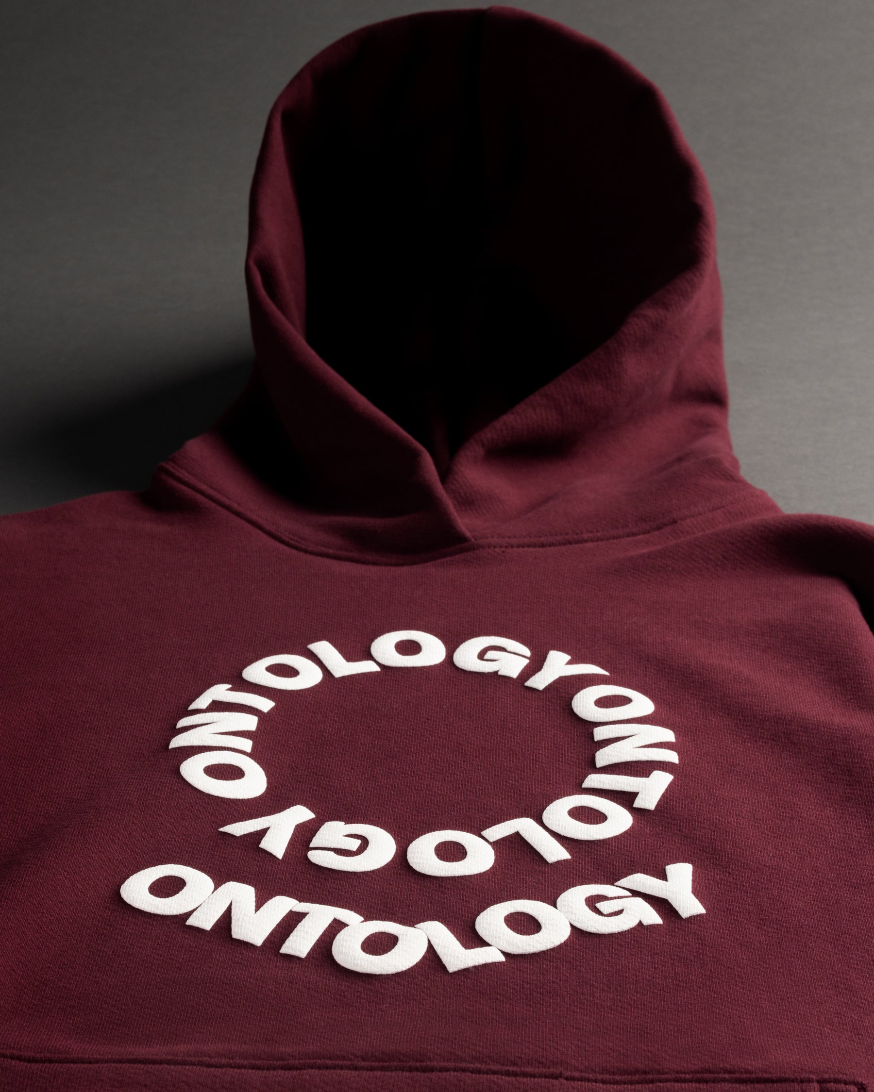 Ontology Valentine's Hoodie