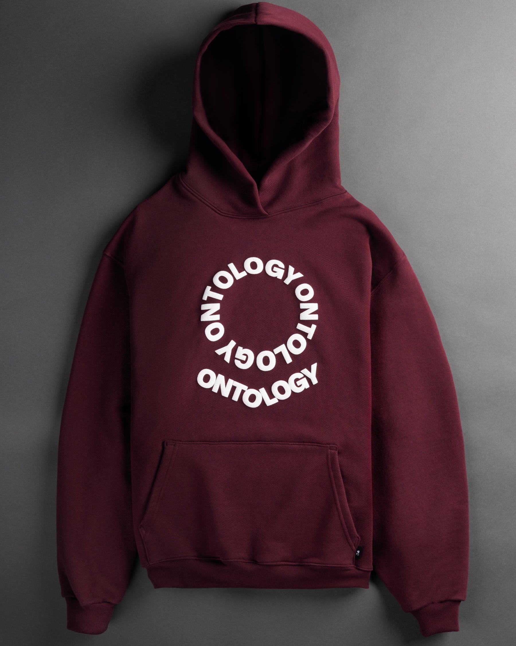 Ontology Valentine's Hoodie
